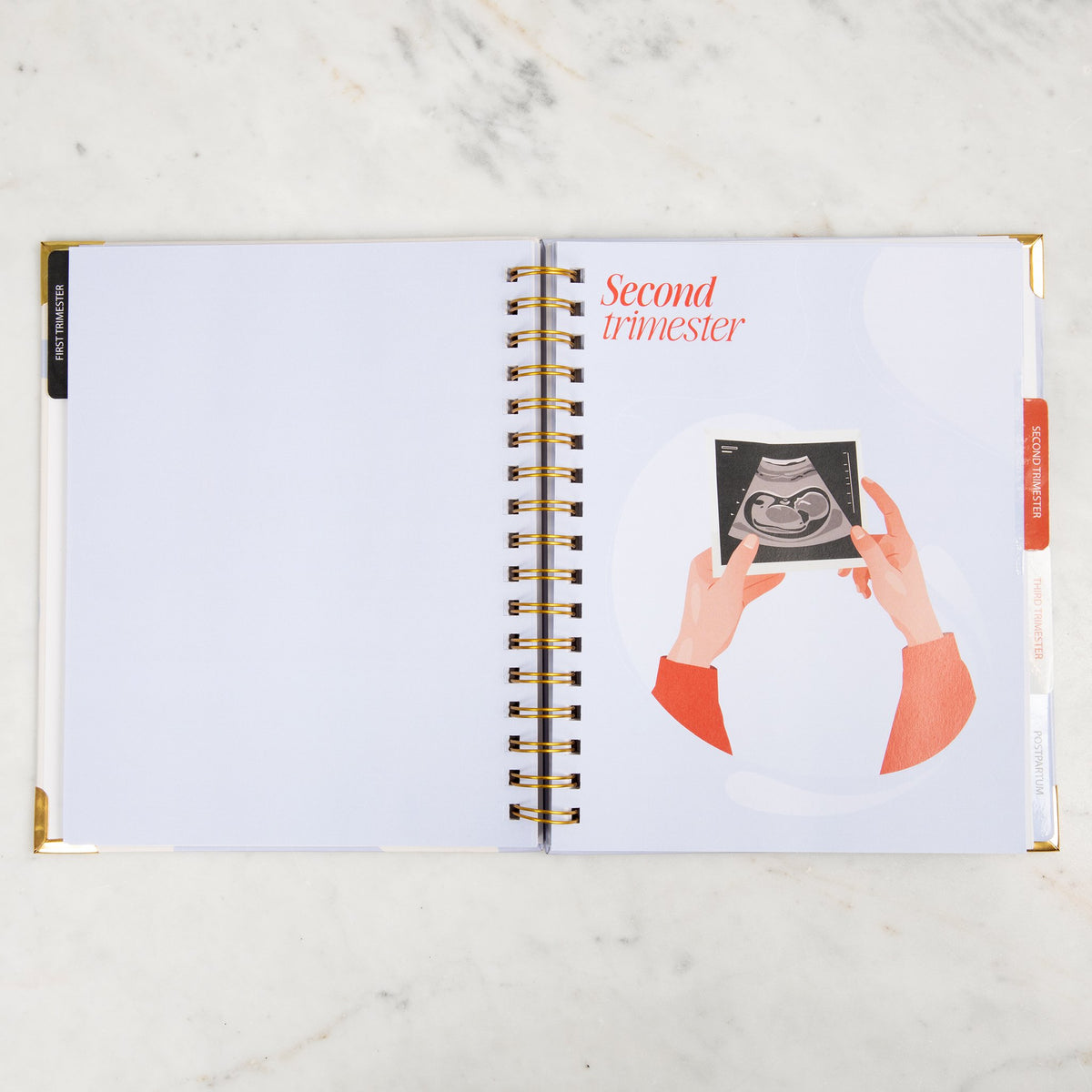 The Bump Bible: The Perfect Pregnancy Planner