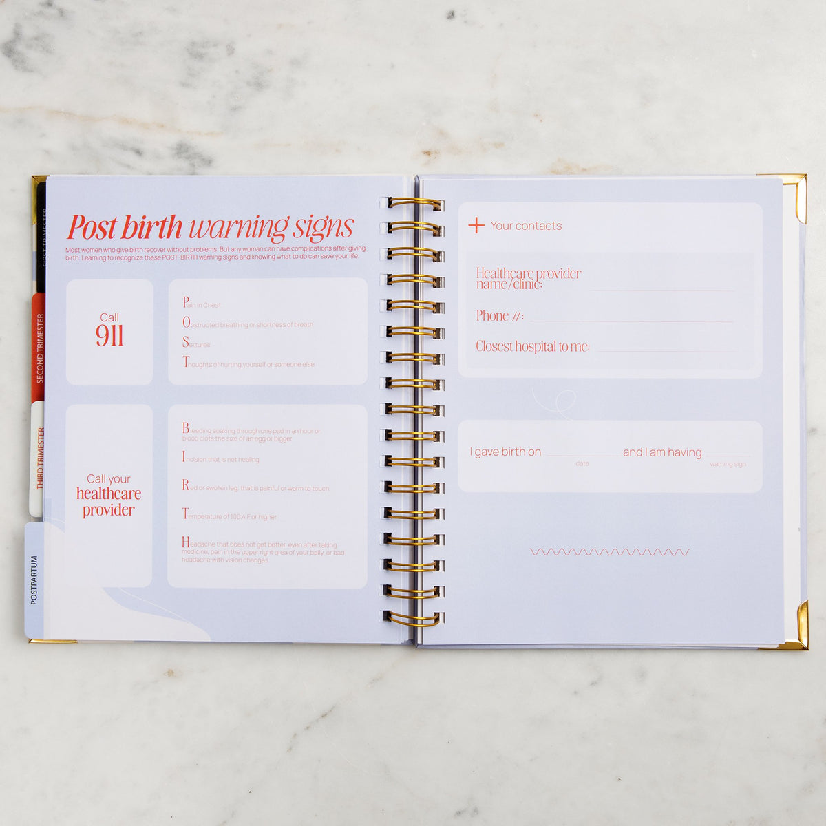 The Bump Bible: The Perfect Pregnancy Planner